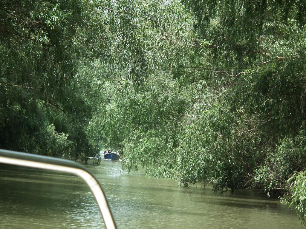 Vila Lotus موريغيول المظهر الخارجي الصورة