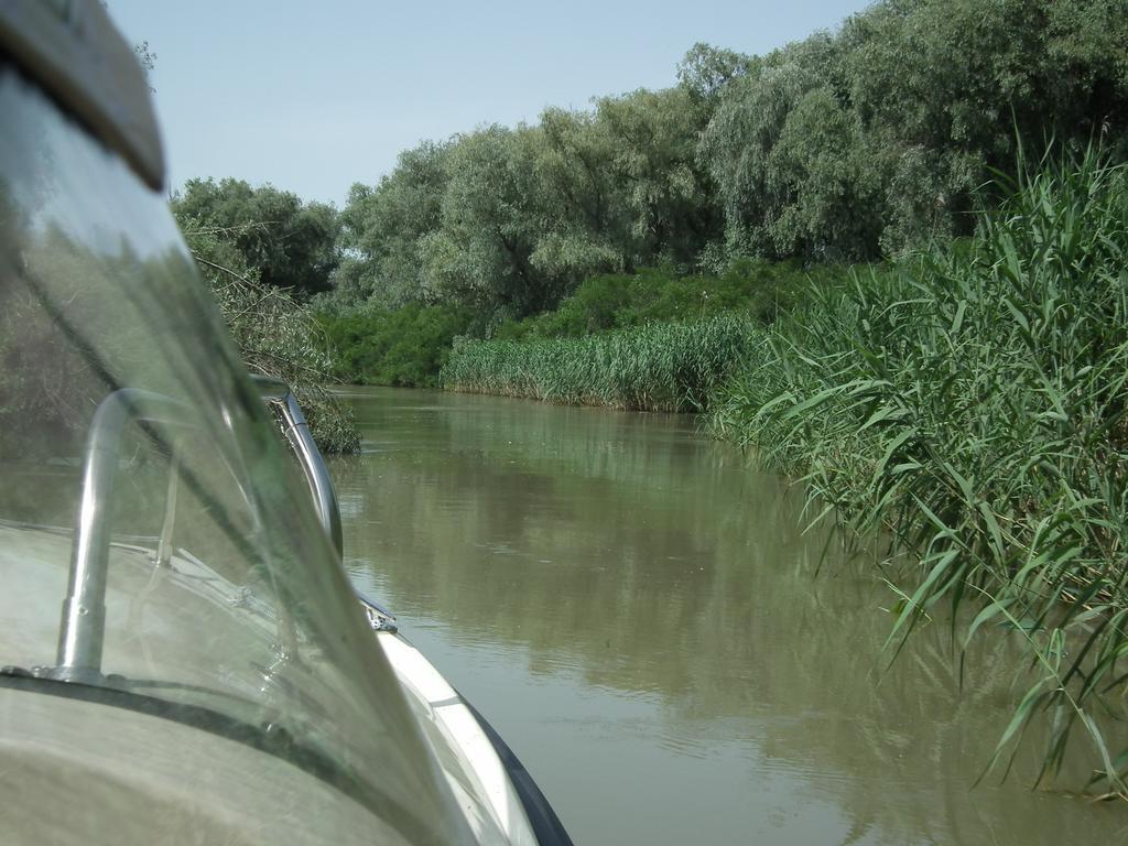 Vila Lotus موريغيول المظهر الخارجي الصورة