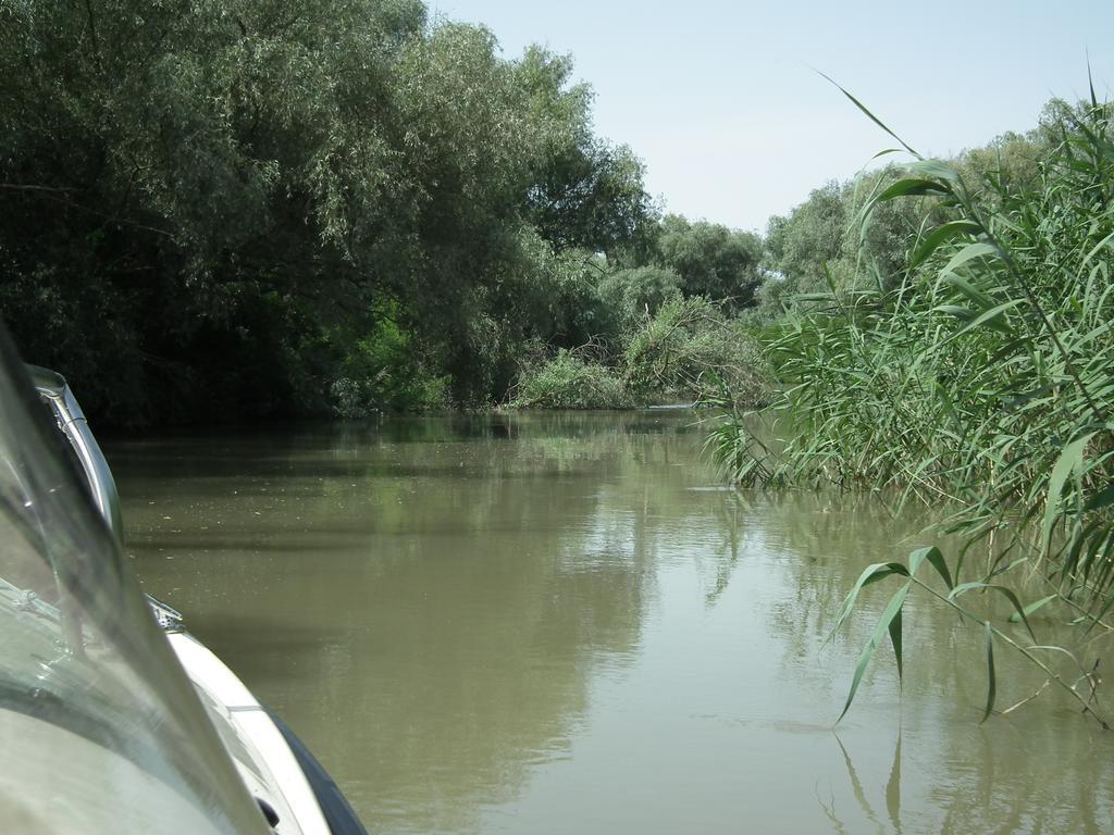 Vila Lotus موريغيول المظهر الخارجي الصورة